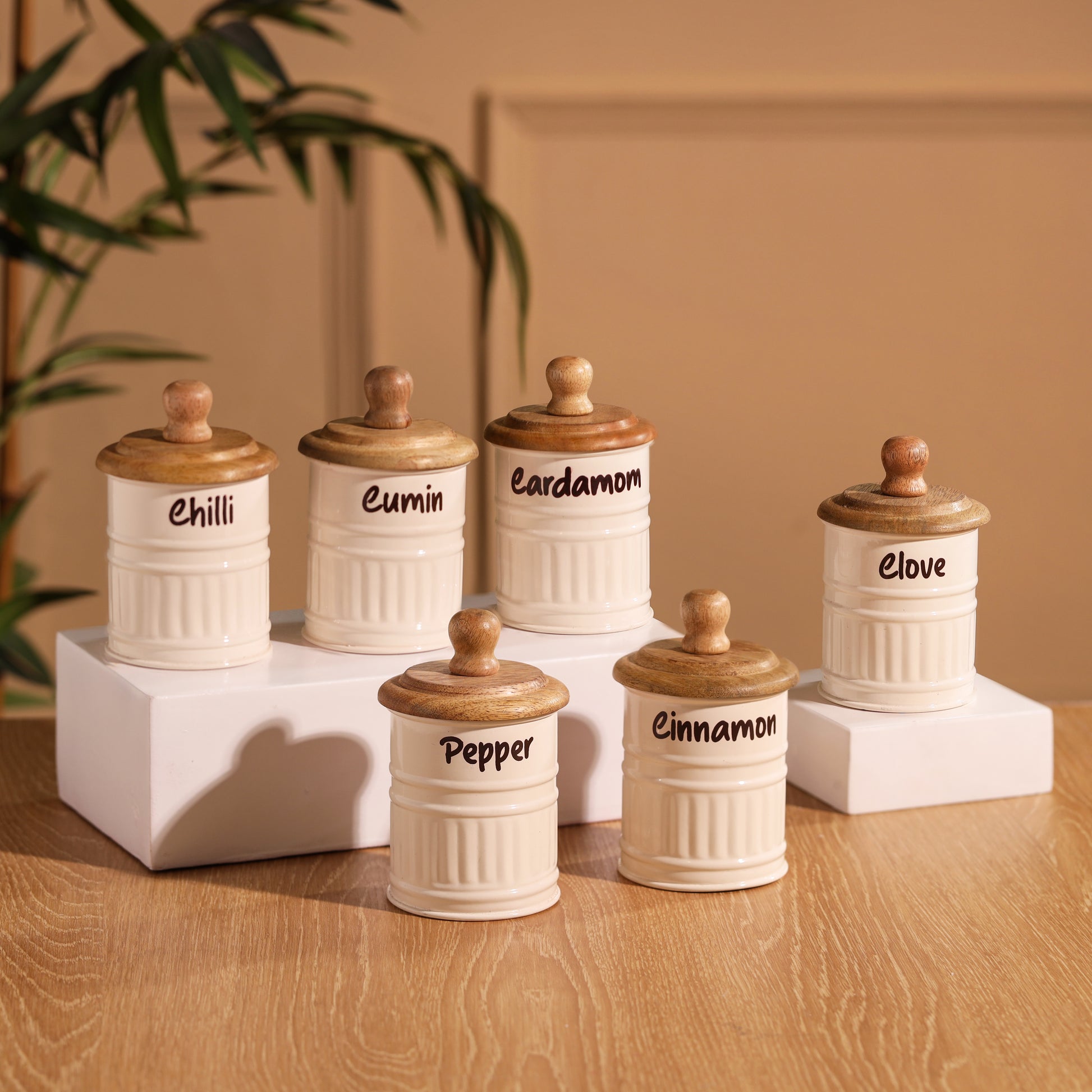 cream-v | Neo-Modern Spice Jars Set of 6 for Kitchen Daily Use